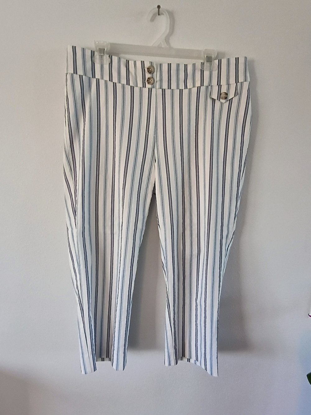 Nic + Rachel Striped Crop Pants Womens 16 Pull On Stretch Blue White Ankle Chic